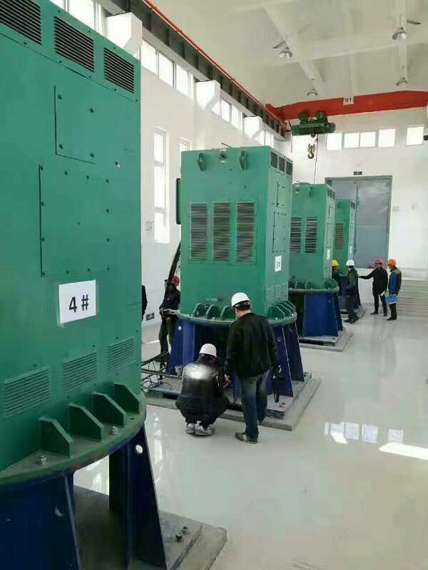 江苏某污水处理厂使用我厂的立式高压电机安装现场